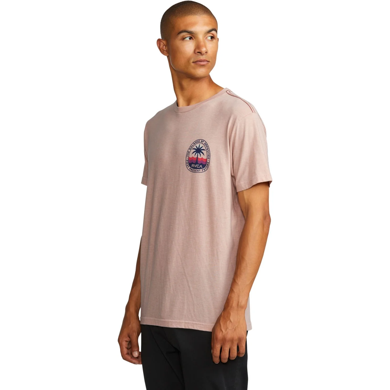 CAMISETA MASCULINO RVCA PALM PATROL – foto 3
